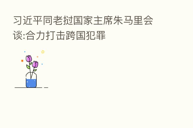 同老挝国家主席朱马里会谈:合力打击跨国犯罪