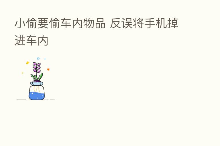 小偷要偷车内物品 反误将手机掉进车内