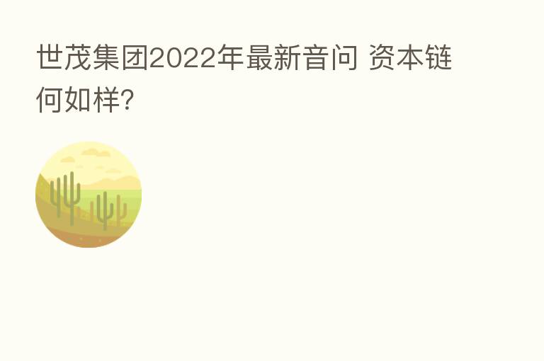 世茂集团2022年新   音问 资本链何如样？