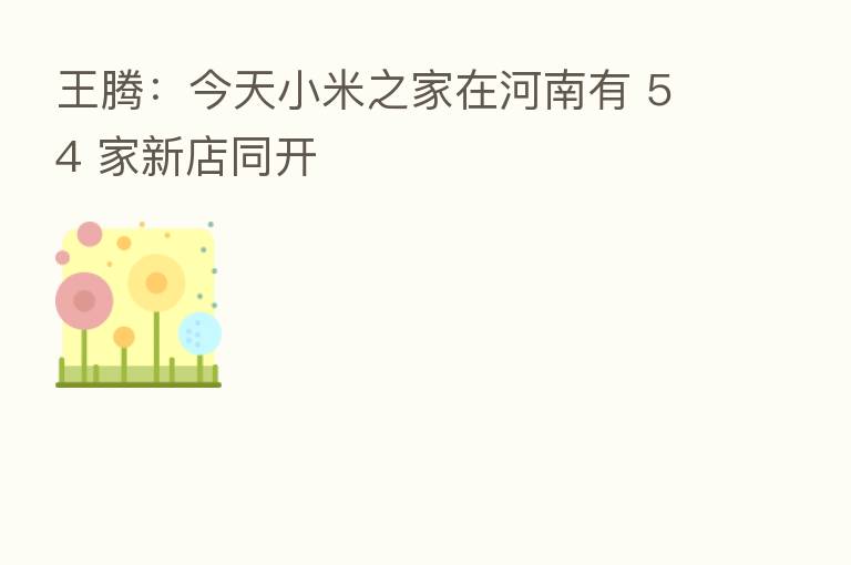 王腾:今天小米之家在河南有 54 家新店同开