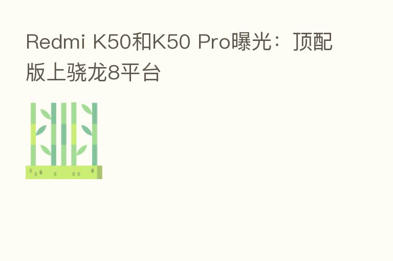Redmi K50和K50 Pro曝光：顶配版上骁龙8平台