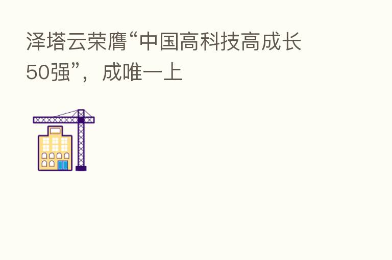 泽塔云荣膺“中国高科技高成长50强”,成唯一上