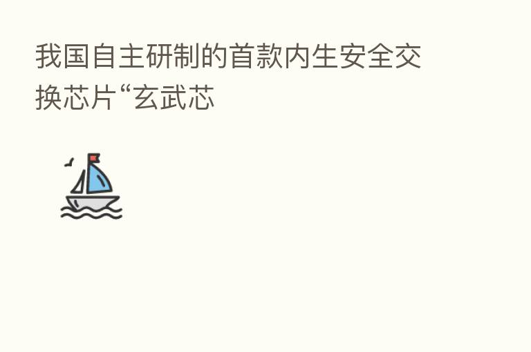 我国自主研制的首款内生安全交换芯片“玄武芯