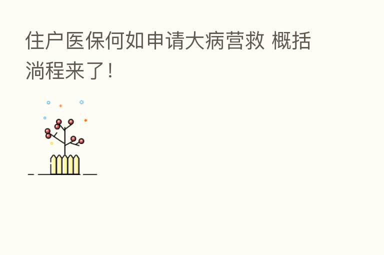 住户医保何如申请大病营救 概括淌程来了!