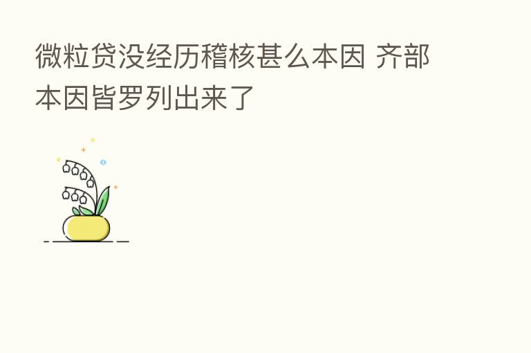 微粒贷没经历稽核甚么本因 齐部本因皆罗列出来了