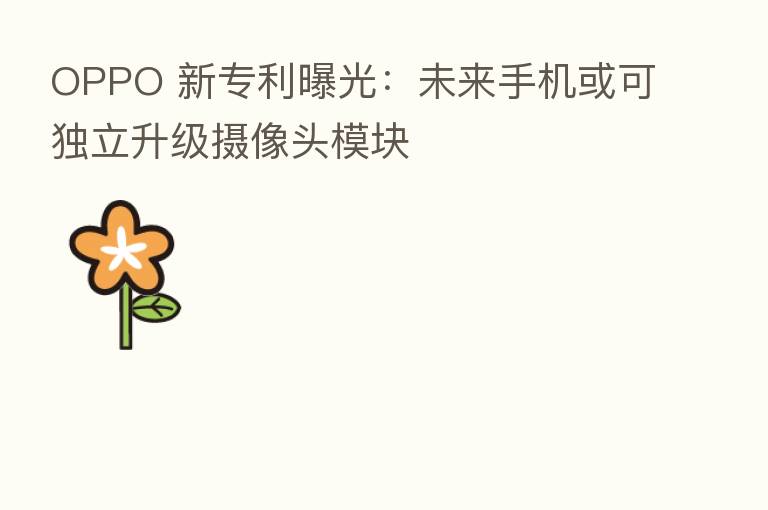 OPPO 新专利曝光：未来手机或可独立升级摄像头模块