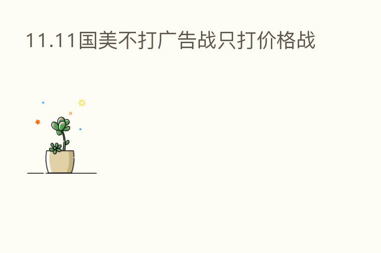 11.11国美不打广告战只打价格战