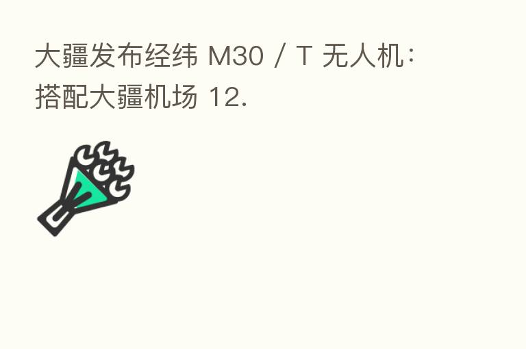 大疆发布经纬 M30 / T 无人机：搭配大疆机场 12.