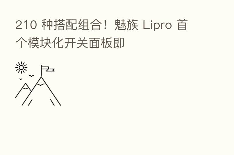 210 种搭配组合!魅族 Lipro 首个模块化开关面板即