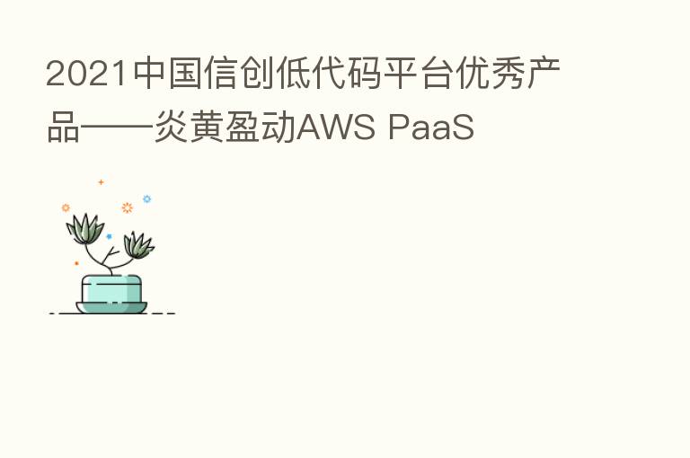 2021中国信创低代码平台优秀产品——炎黄盈动AWS PaaS