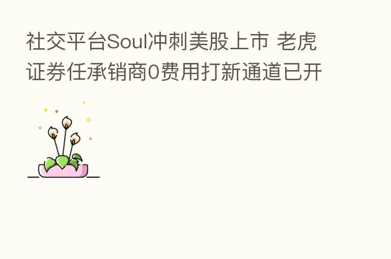 社交平台Soul冲刺美股上市 老虎证券任承销商0费用打新通道已开启