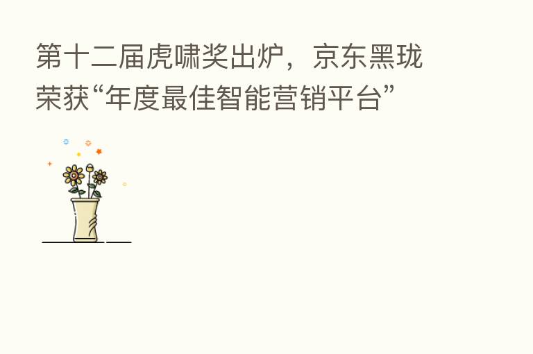 十二届虎啸奖出炉,京东黑珑荣获“年度 佳智能营销平台”大奖