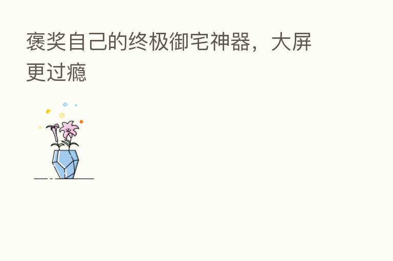 褒奖自己的终极御宅神器，大屏更过瘾