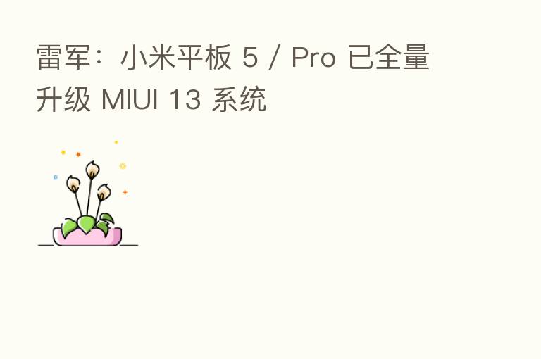 雷军：小米平板 5 / Pro 已全量升级 MIUI 13 系统