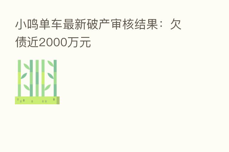 小鸣单车新   破产审核结果：欠债近2000万元