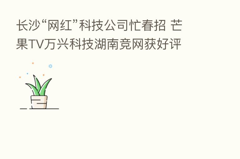 长沙“网红”科技公司忙春招 芒果TV万兴科技湖南竞网获好评