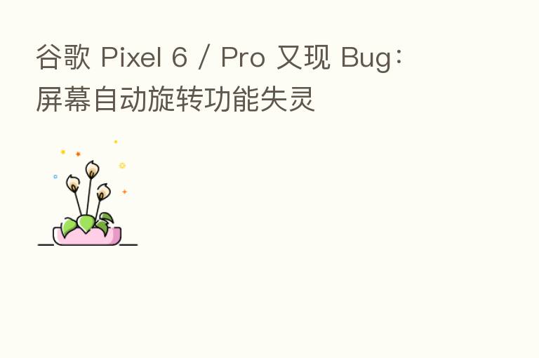 谷歌 Pixel 6 / Pro 又现 Bug：屏幕自动旋转功能失灵