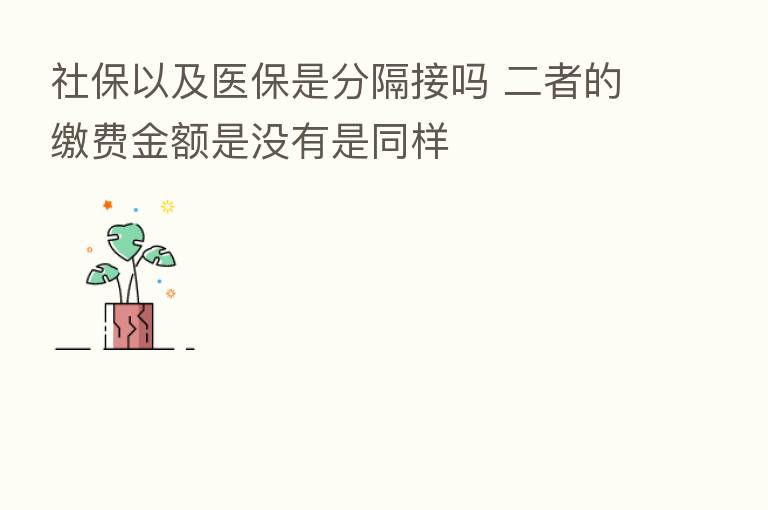 社保以及医保是分隔接吗 二者的缴费金额是没有是同样