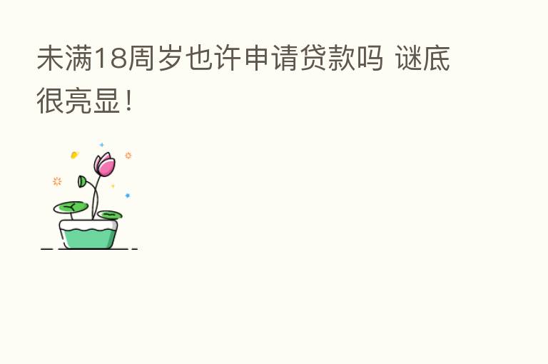 未满18周岁也许申请贷款吗 谜底很亮显！