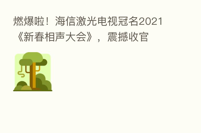 燃爆啦!海信激光电视冠名2021《新春相声大会》,震撼收官
