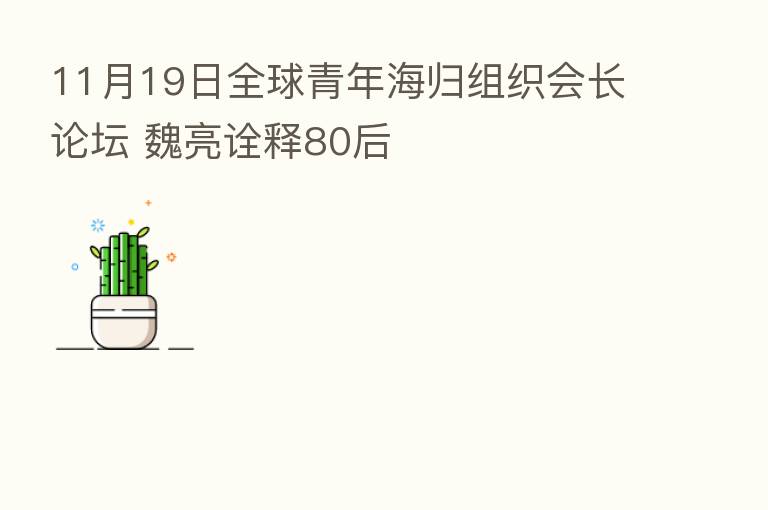 11月19日全球青年海归组织会长论坛 魏亮诠释80后