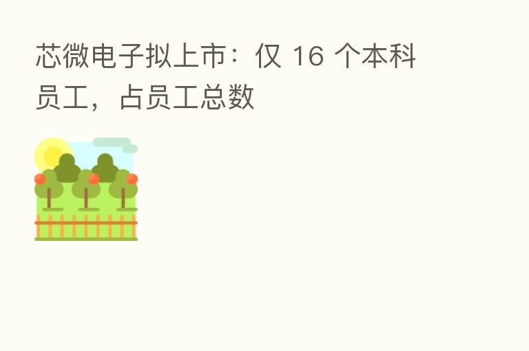 芯微电子拟上市：仅 16 个本科员工，占员工总数