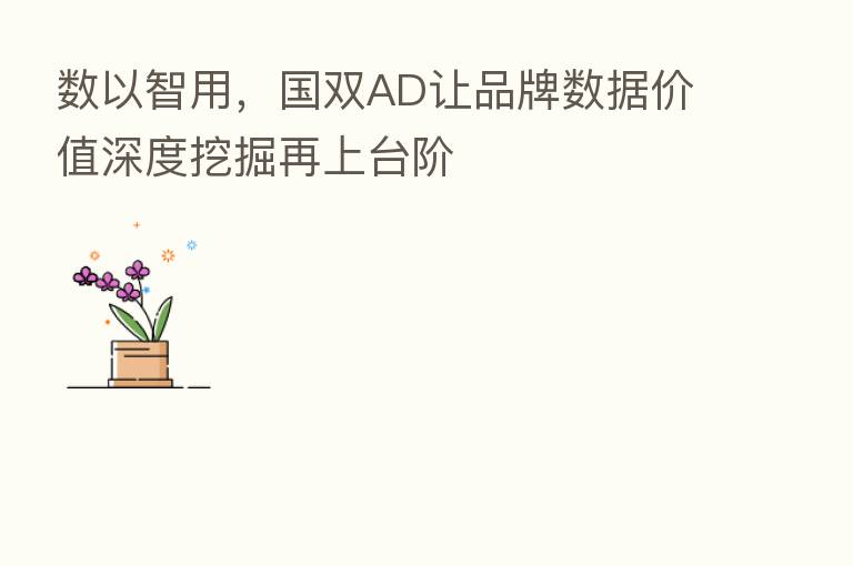 数以智用,国双AD让品牌数据价值深度挖掘再上台阶
