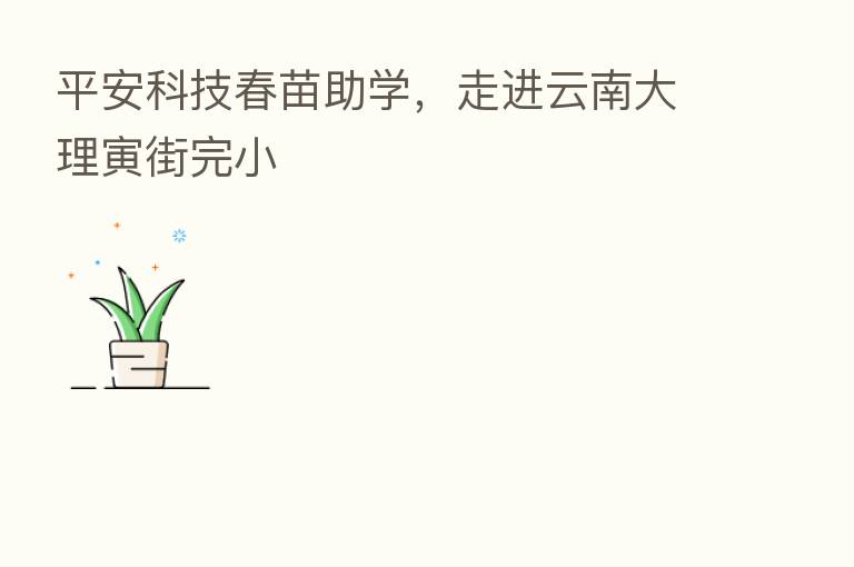 平安科技春苗助学，走进云南大理寅街完小