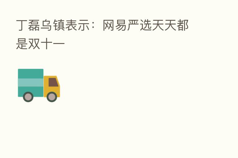 丁磊乌镇表示:网易严选天天都是双十一