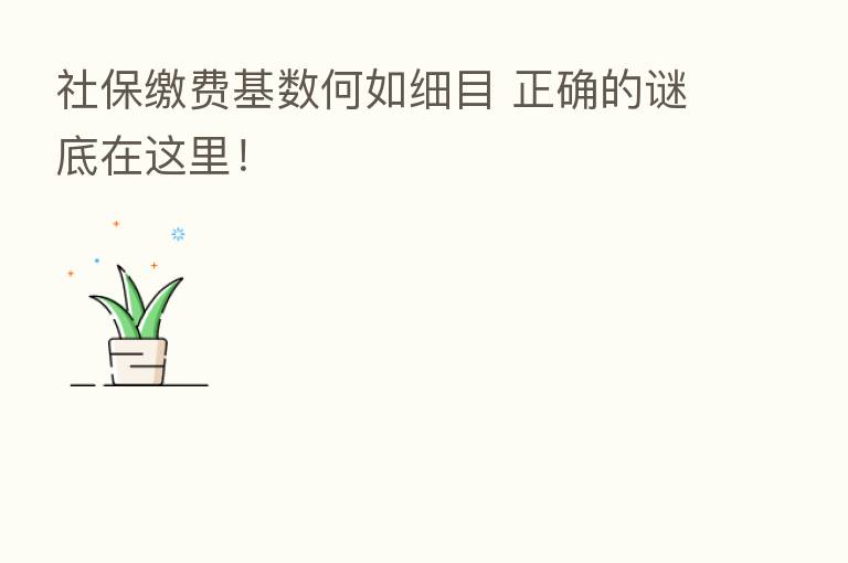 社保缴费基数何如细目 正确的谜底在这里!