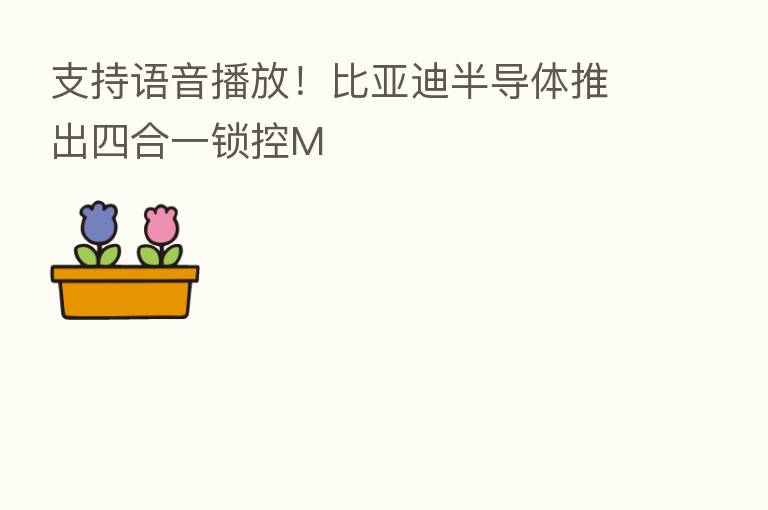 支持语音播放！比亚迪半导体推出四合一锁控M