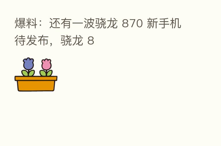 爆料:还有一波骁龙 870 新手机待发布,骁龙 8