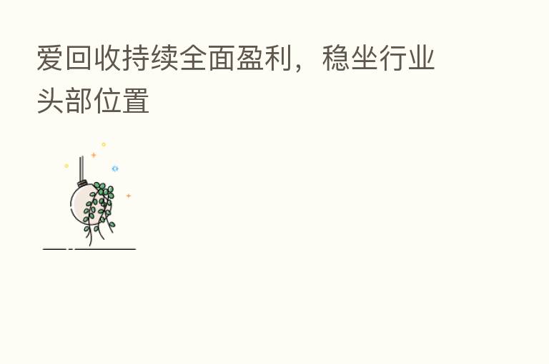 爱回收持续全面盈利，稳坐行业头部位置