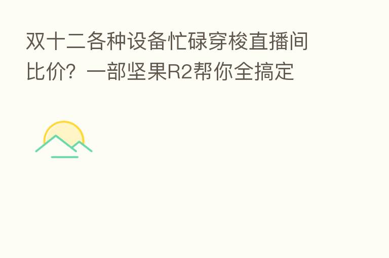 双十二各种设备忙碌穿梭直播间比价?一部坚果R2帮你全搞定