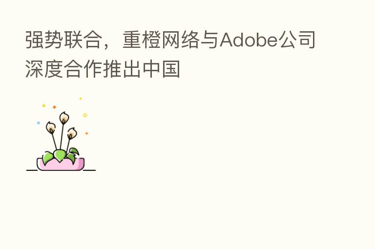 强势联合，重橙网络与Adobe公司深度合作推出中国