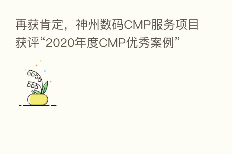 再获肯定，神州数码CMP服务项目获评“2020年度CMP优秀案例”