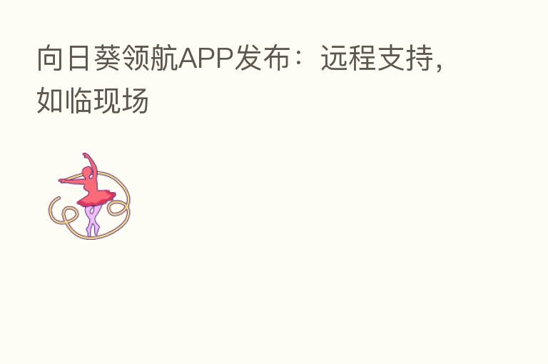 向日葵领航APP发布：远程支持，如临现场
