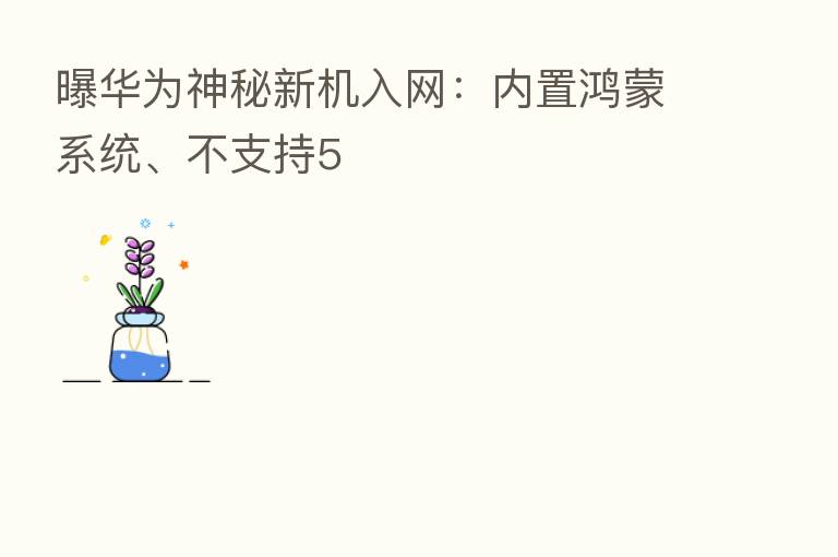 曝华为神秘新机入网：内置鸿蒙系统、不支持5