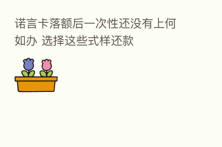 诺言卡落额后一次性还没有上何如办 选择这些式样还款