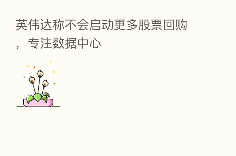 英伟达称不会启动更多股票回购，专注数据中心