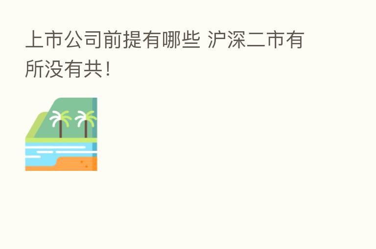 上市公司前提有哪些 沪深二市有所没有共！