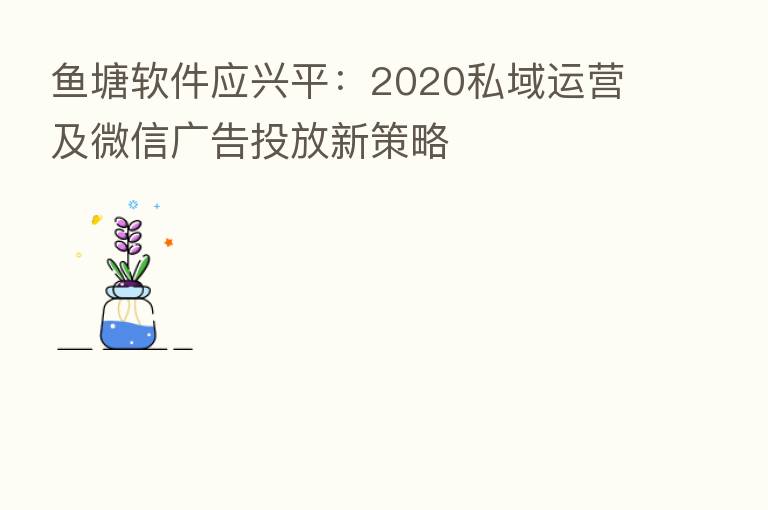 鱼塘软件应兴平:2020私域运营及微信广告投放新策略
