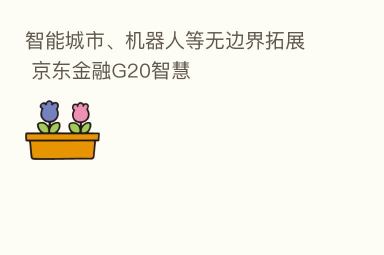 智能城市、机器人等无边界拓展 京东金融G20智慧