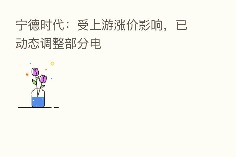宁德时代:受上游涨价影响,已动态调整部分电