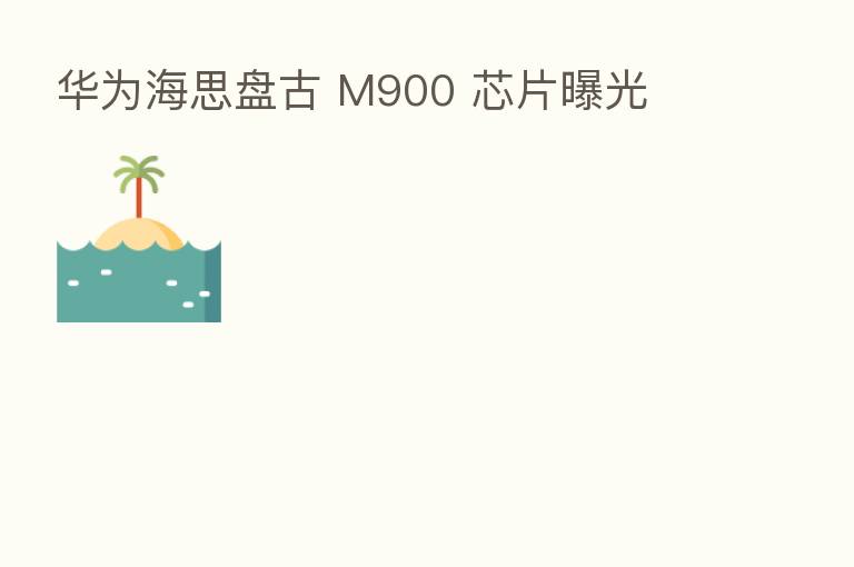 华为海思盘古 M900 芯片曝光