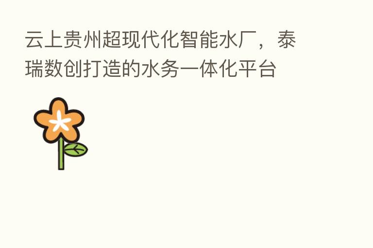 云上贵州超现代化智能水厂，泰瑞数创打造的水务一体化平台