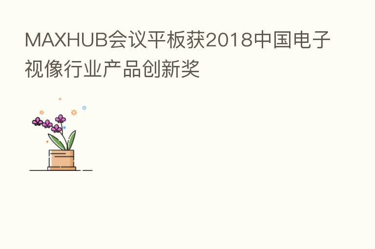 MAXHUB会议平板获2018中国电子视像行业产品创新奖