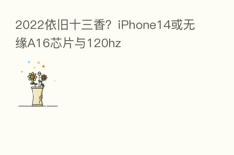 2022依旧十三香？iPhone14或无缘A16芯片与120hz