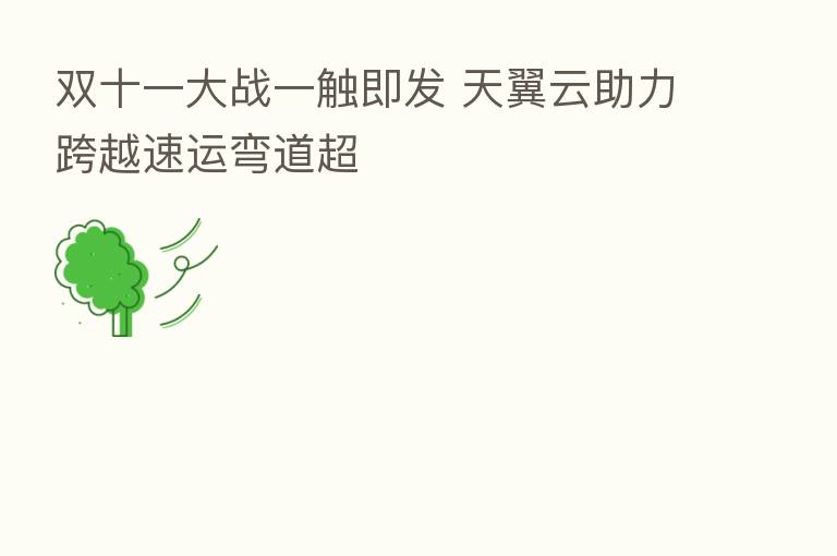 双十一大战一触即发 天翼云助力跨越速运弯道超