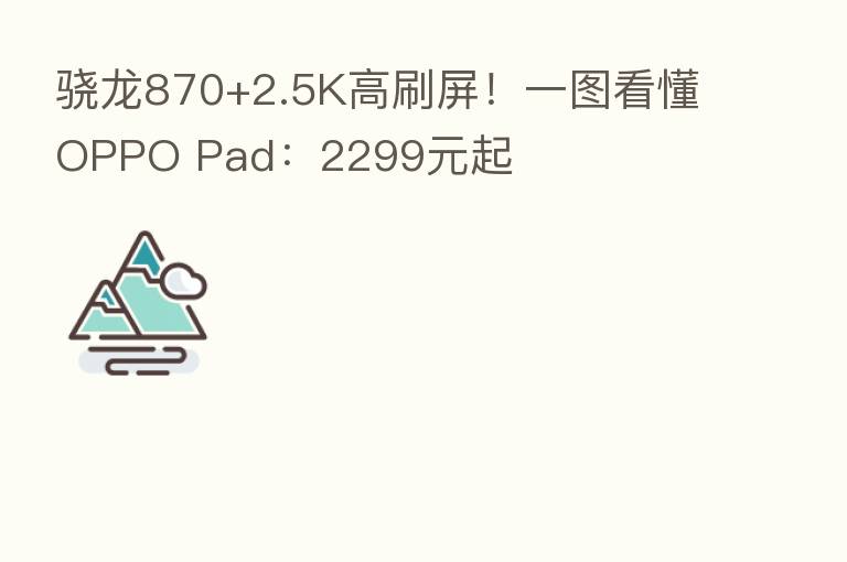 骁龙870+2.5K高刷屏!一图看懂OPPO Pad:2299元起
